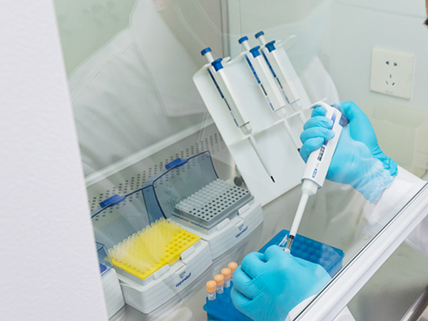 Colloidal gold test paper strip