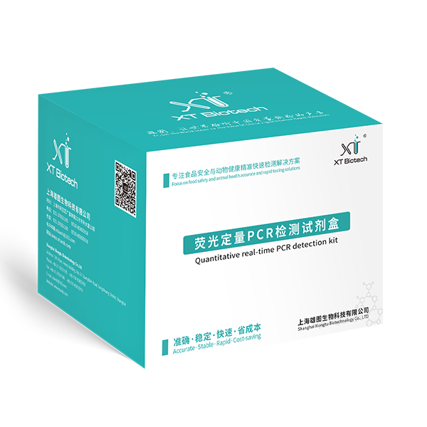 Quantitative real-time PCR detection kit